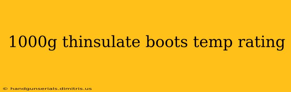 1000g thinsulate boots temp rating