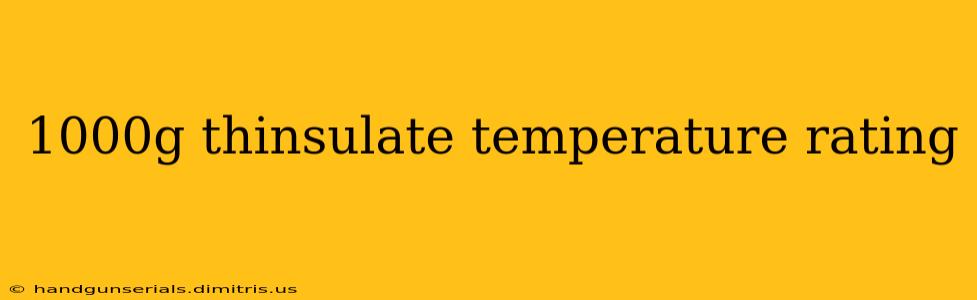 1000g thinsulate temperature rating