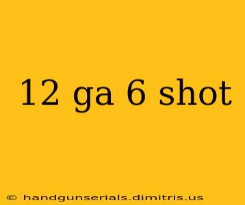 12 ga 6 shot