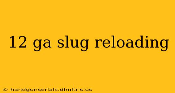 12 ga slug reloading