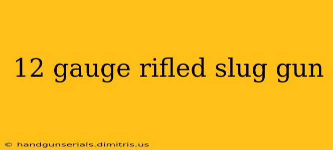 12 gauge rifled slug gun