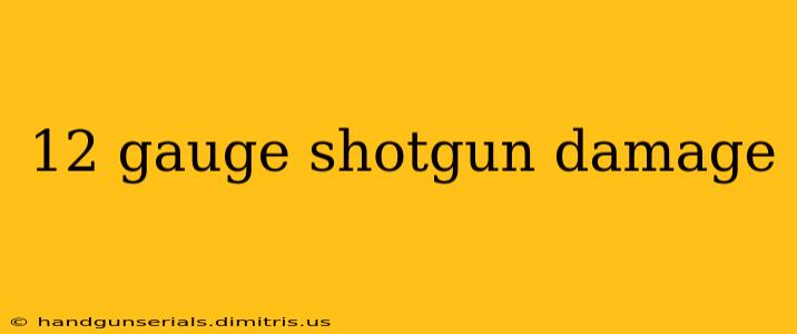 12 gauge shotgun damage