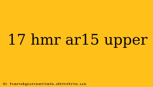 17 hmr ar15 upper