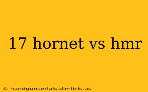 17 hornet vs hmr