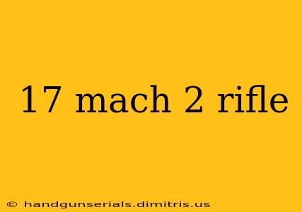 17 mach 2 rifle