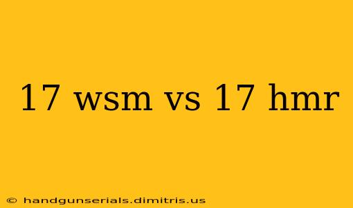 17 wsm vs 17 hmr