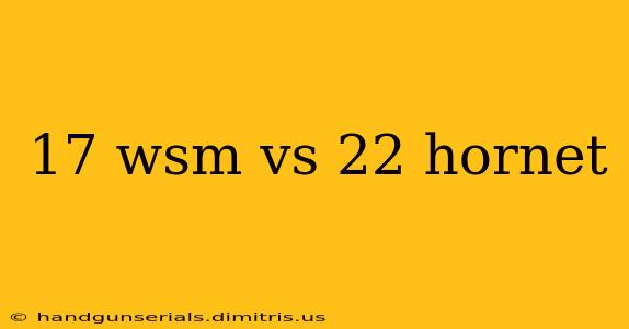 17 wsm vs 22 hornet