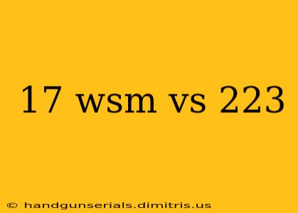 17 wsm vs 223