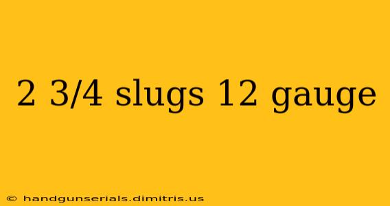 2 3/4 slugs 12 gauge