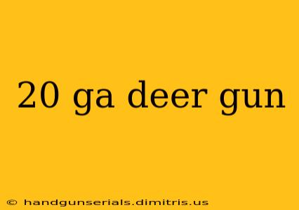 20 ga deer gun