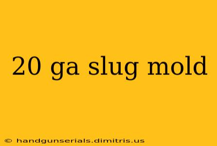 20 ga slug mold