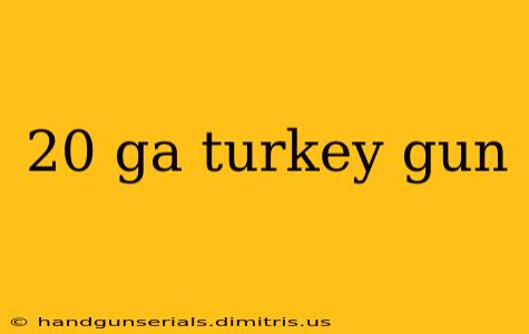 20 ga turkey gun