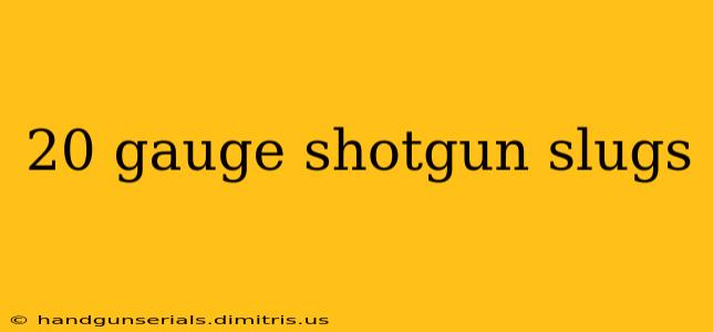 20 gauge shotgun slugs