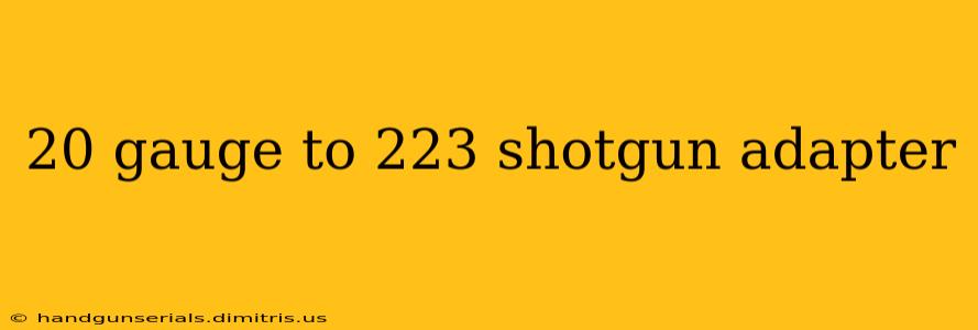 20 gauge to 223 shotgun adapter