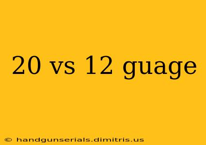 20 vs 12 guage