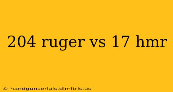 204 ruger vs 17 hmr