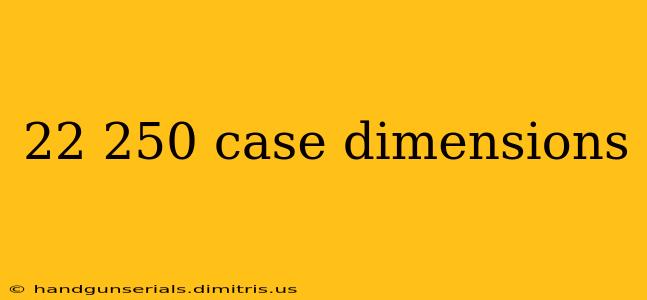 22 250 case dimensions