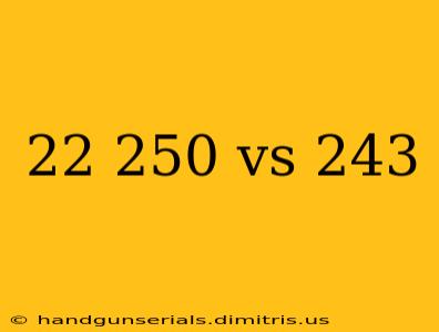 22 250 vs 243