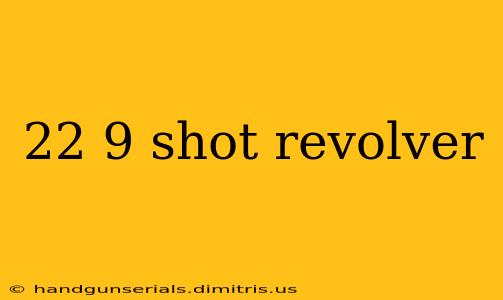 22 9 shot revolver