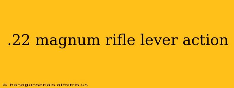 .22 magnum rifle lever action