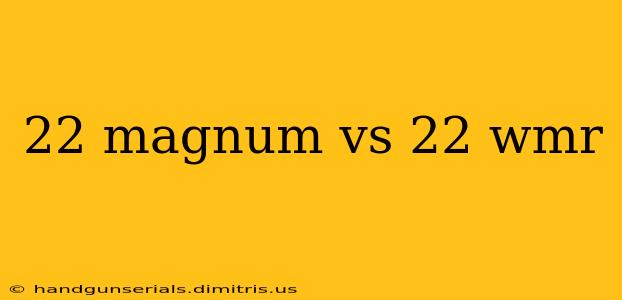 22 magnum vs 22 wmr