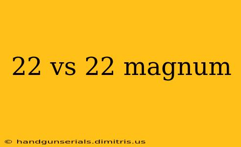 22 vs 22 magnum