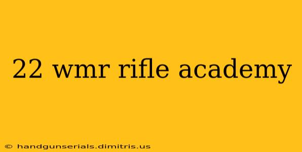 22 wmr rifle academy