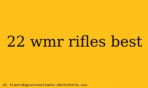 22 wmr rifles best