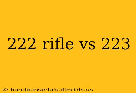 222 rifle vs 223