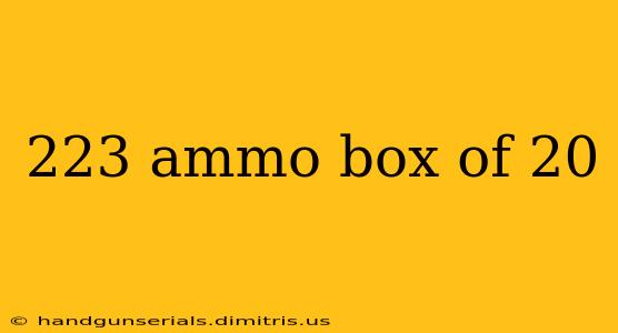 223 ammo box of 20