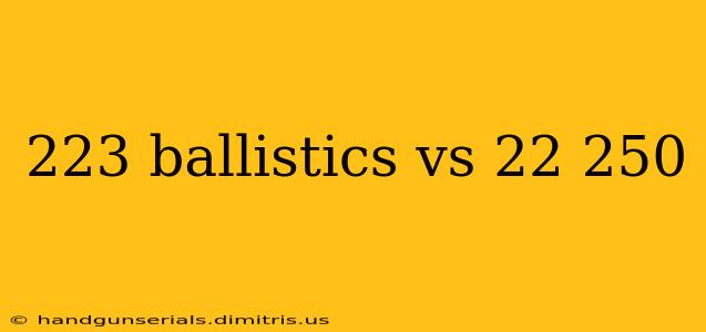 223 ballistics vs 22 250