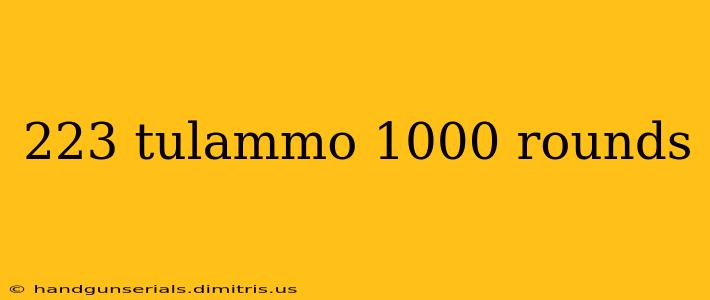 223 tulammo 1000 rounds