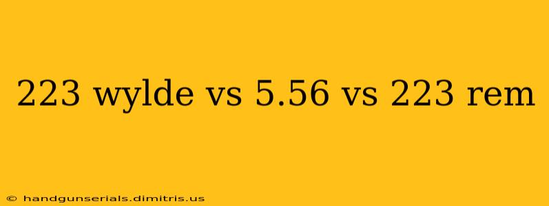 223 wylde vs 5.56 vs 223 rem