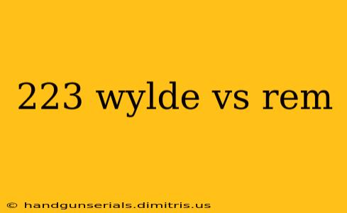 223 wylde vs rem