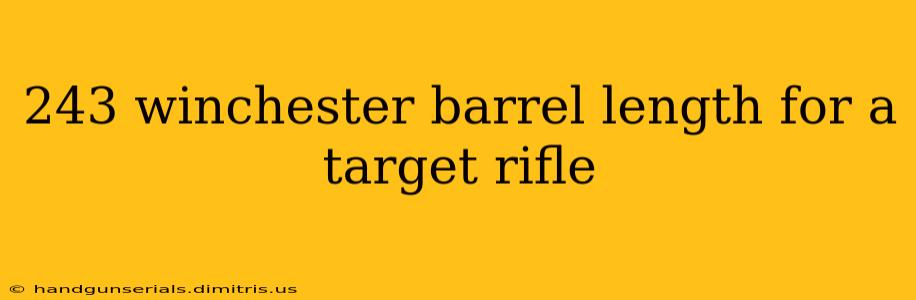 243 winchester barrel length for a target rifle