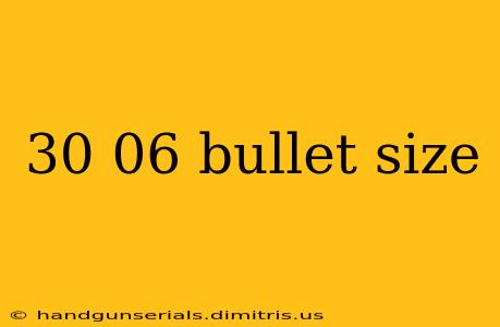 30 06 bullet size