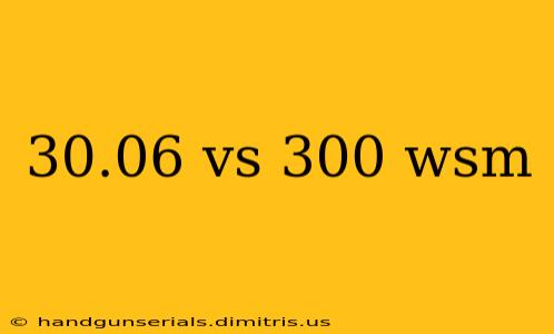 30.06 vs 300 wsm