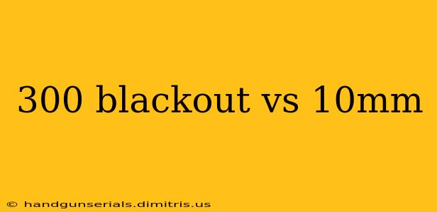 300 blackout vs 10mm