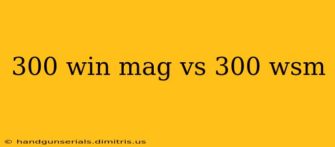 300 win mag vs 300 wsm