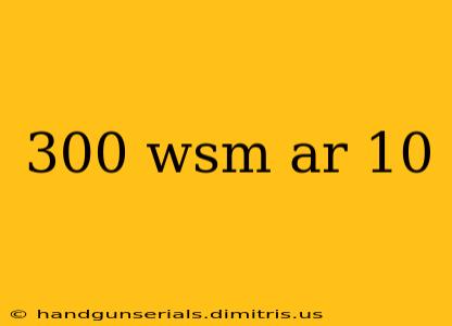 300 wsm ar 10