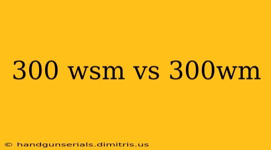 300 wsm vs 300wm