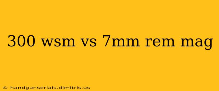 300 wsm vs 7mm rem mag