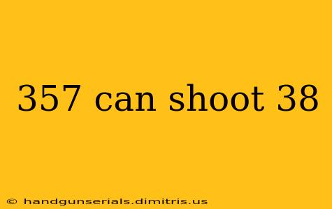 357 can shoot 38