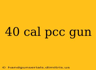 40 cal pcc gun