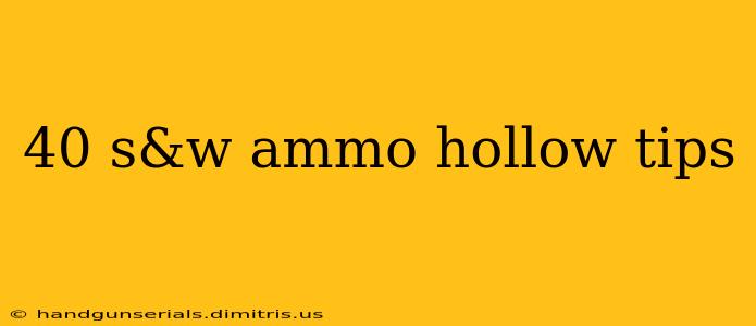 40 s&w ammo hollow tips