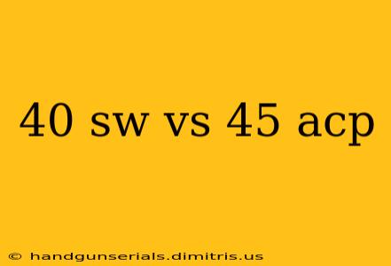 40 sw vs 45 acp