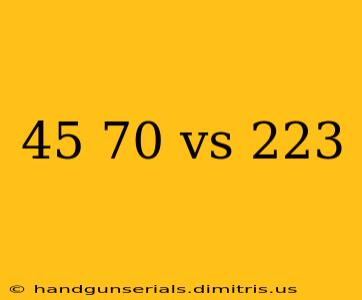 45 70 vs 223