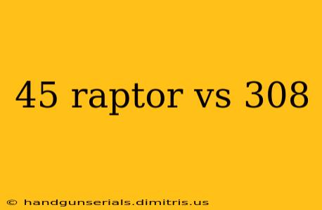 45 raptor vs 308