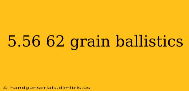 5.56 62 grain ballistics