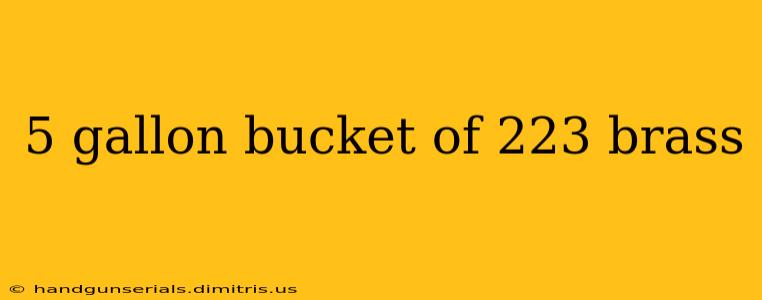 5 gallon bucket of 223 brass